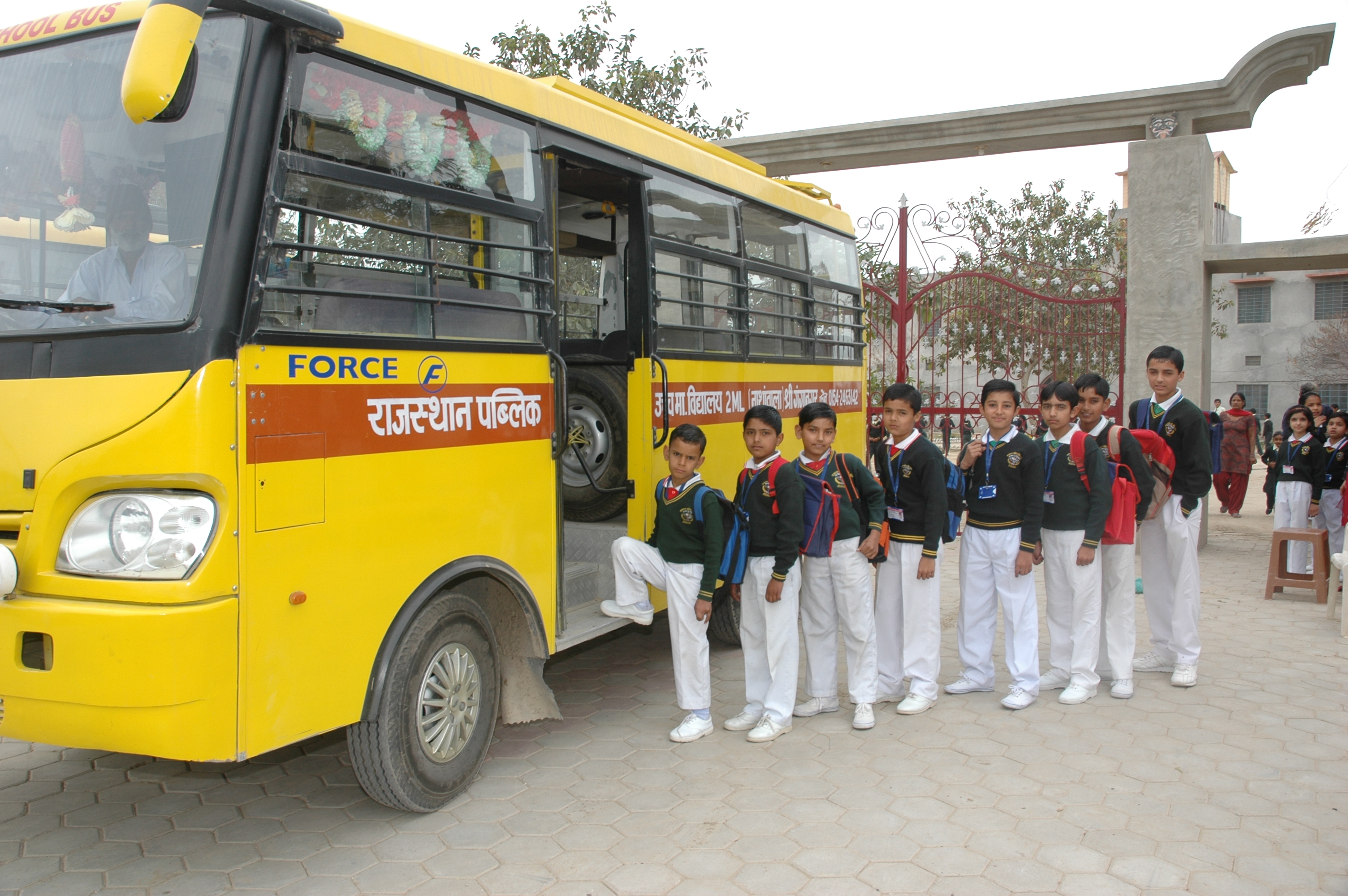School Library and Reading